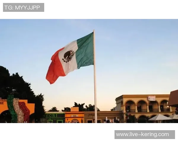 伊朗主场迎战委内瑞拉期待精彩对决与胜利之争 伊朗主场迎战委内瑞拉期待精彩对决与胜利之争