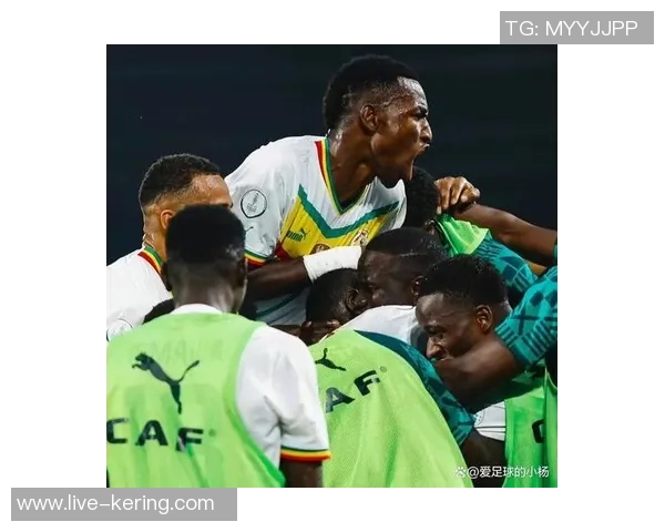 尼日利亚与阿尔的激烈对决揭示足球战术与团队合作的重要性